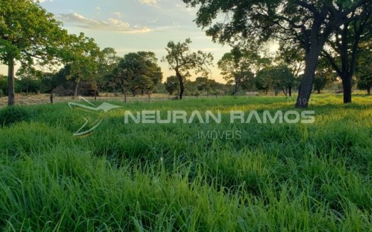 Fazenda no Município de Posse – Goiás