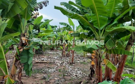 Sítio à venda em Correntina – Bahia – 100m de beira de rio