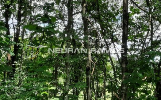 Sítio à venda em Correntina – Bahia – 100m de beira de rio