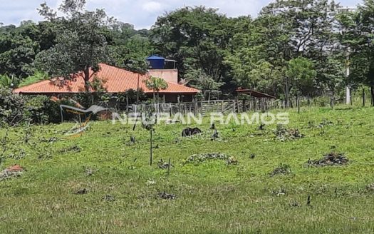 Sítio à venda em Correntina – Bahia – 100m de beira de rio