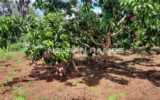 Sítio à venda em Correntina – Bahia – 100m de beira de rio