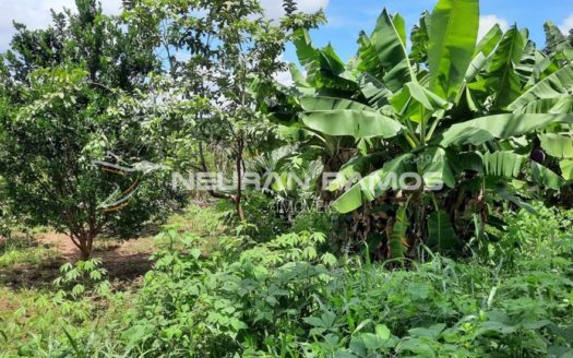 Sítio à venda em Correntina – Bahia – 100m de beira de rio