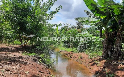 Sítio à venda em Correntina – Bahia – 100m de beira de rio