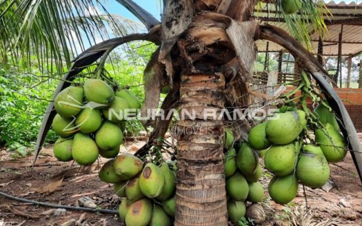 Sítio à venda em Correntina – Bahia – 100m de beira de rio