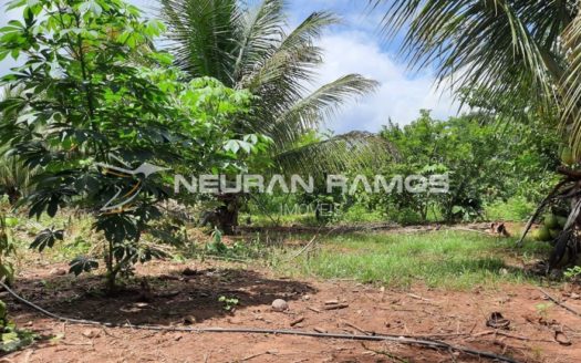 Sítio à venda em Correntina – Bahia – 100m de beira de rio