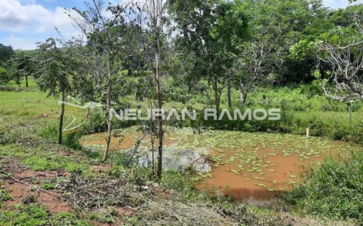 Sítio à venda em Correntina – Bahia – 100m de beira de rio