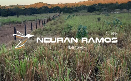 Chácara 4.7 hectares – Correntina – Beira de Rio