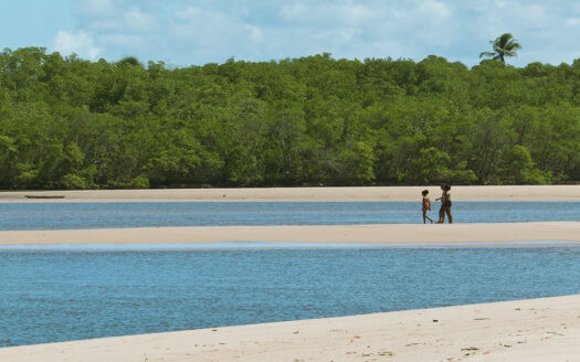 Área de 600 hectares à Venda na Linha Verde – Conde (Bahia) – 5600 metros de Praia