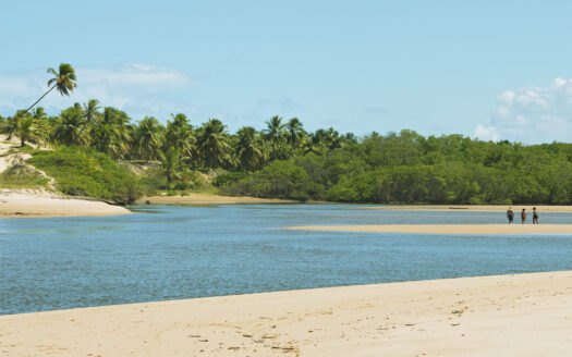 Área de 600 hectares à Venda na Linha Verde – Conde (Bahia) – 5600 metros de Praia