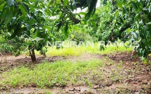 Chácara à venda em Correntina – BA | 4 hectares, 100m de beira de rio