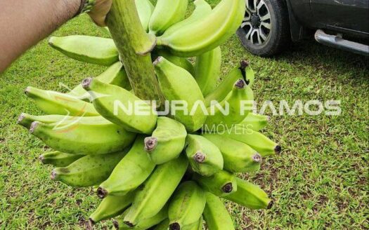 Chácara à venda em Correntina – BA | 4 hectares, 100m de beira de rio