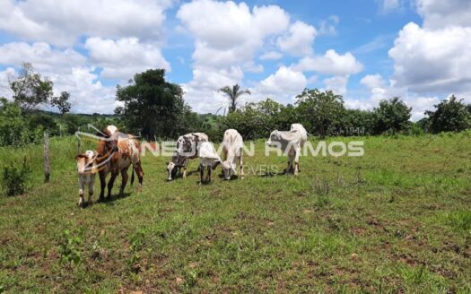 Chácara à venda em Correntina – BA | 4 hectares, 100m de beira de rio