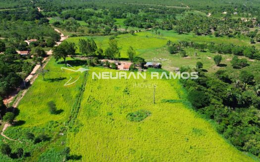 Fazenda à Venda em Correntina – 44 Hectares Formados com Água | Oeste da Bahia