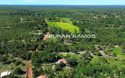 Fazenda à Venda em Correntina – 44 Hectares Formados com Água | Oeste da Bahia