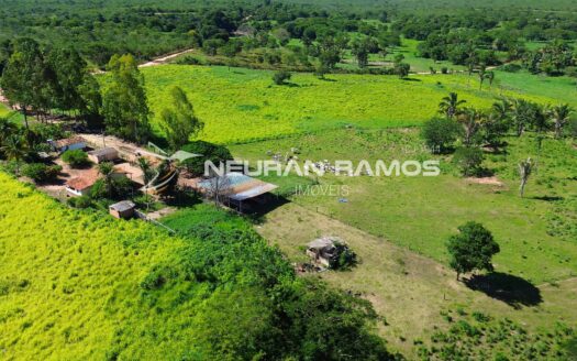 Fazenda à Venda em Correntina – 44 Hectares Formados com Água | Oeste da Bahia