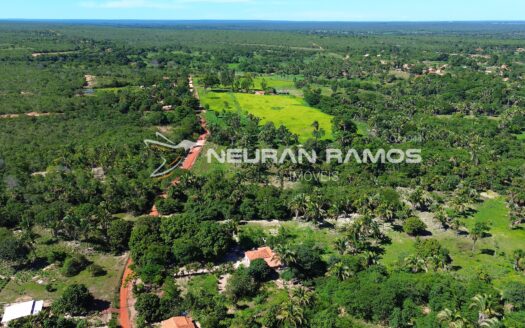 Fazenda à Venda em Correntina – 44 Hectares Formados com Água | Oeste da Bahia