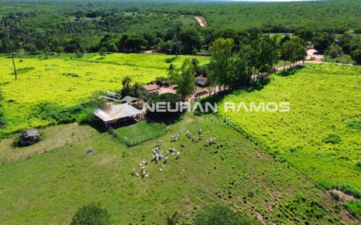Fazenda à Venda em Correntina – 44 Hectares Formados com Água | Oeste da Bahia