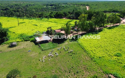 Fazenda à Venda em Correntina – 44 Hectares Formados com Água | Oeste da Bahia