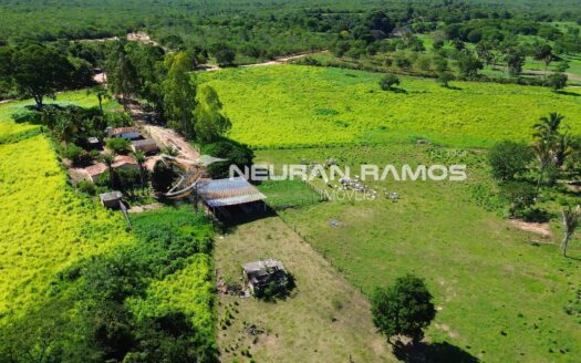 Fazenda à Venda em Correntina – 44 Hectares Formados com Água | Oeste da Bahia