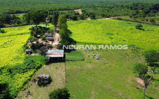 Fazenda à Venda em Correntina – 44 Hectares Formados com Água | Oeste da Bahia