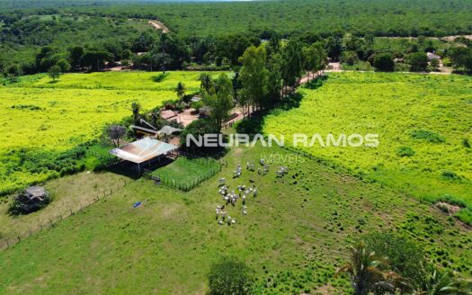 Fazenda à Venda em Correntina – 44 Hectares Formados com Água | Oeste da Bahia