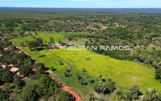 Fazenda à Venda em Correntina – 44 Hectares Formados com Água | Oeste da Bahia