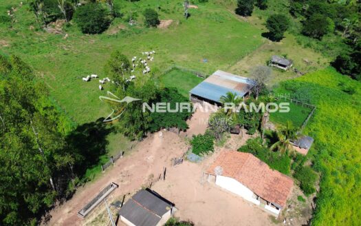 Fazenda à Venda em Correntina – 44 Hectares Formados com Água | Oeste da Bahia