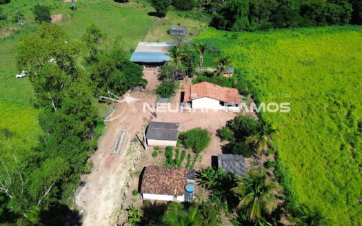 Fazenda à Venda em Correntina – 44 Hectares Formados com Água | Oeste da Bahia