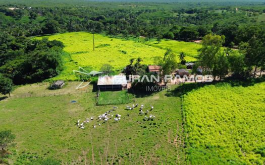 Fazenda à Venda em Correntina – 44 Hectares Formados com Água | Oeste da Bahia
