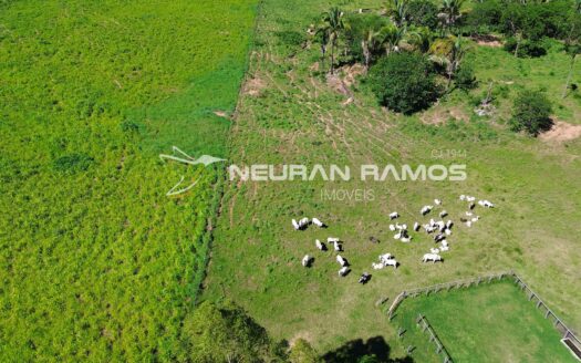 Fazenda à Venda em Correntina – 44 Hectares Formados com Água | Oeste da Bahia