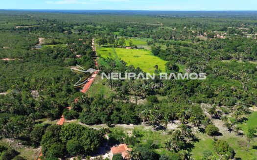 Fazenda à Venda em Correntina – 44 Hectares Formados com Água | Oeste da Bahia